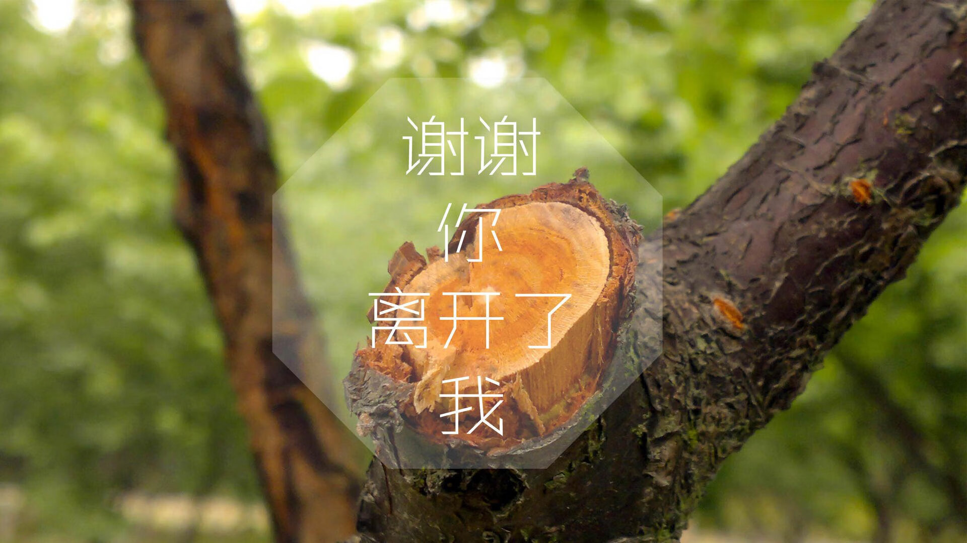 九游网页版官网-布鲁诺·卡博克洛在NBA夏季联赛中表现亮眼，布鲁诺-卡博克洛
