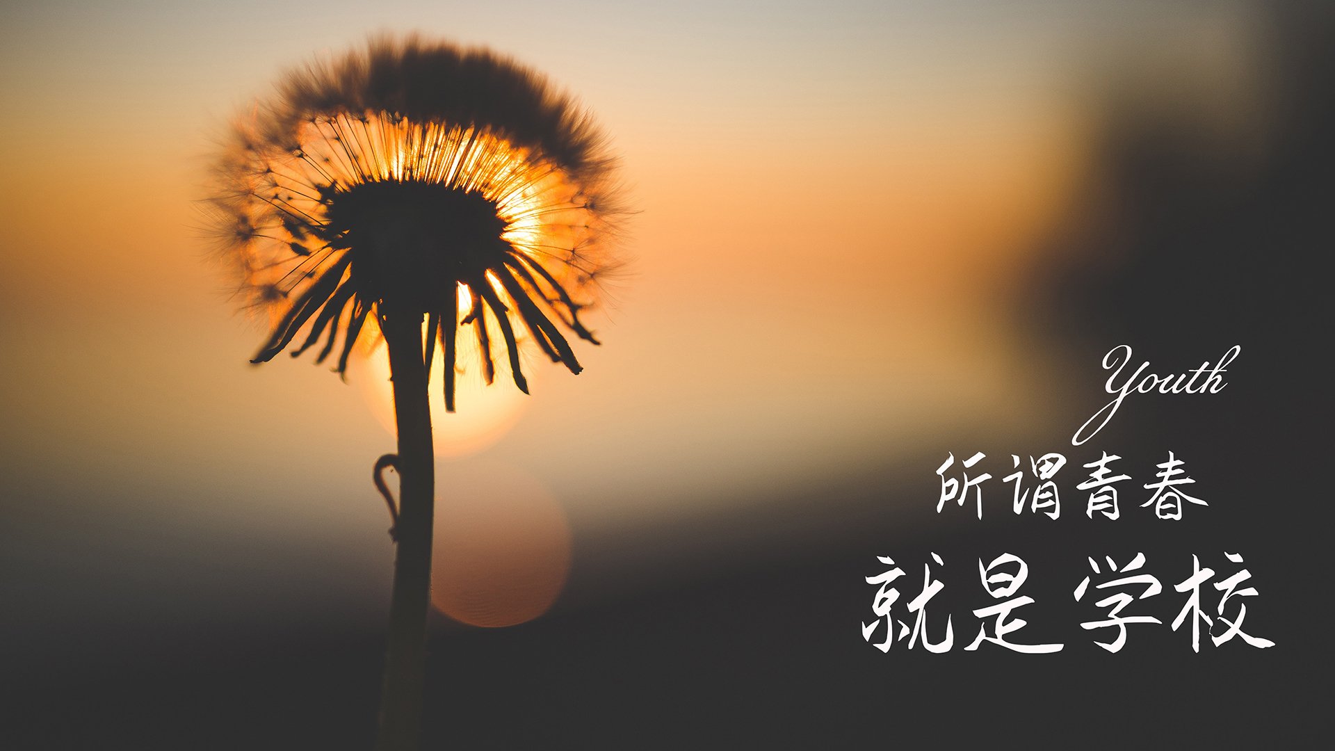 中国篮球青训教练员专业能力提升及教学方法创新，篮球教练员岗位培训教材