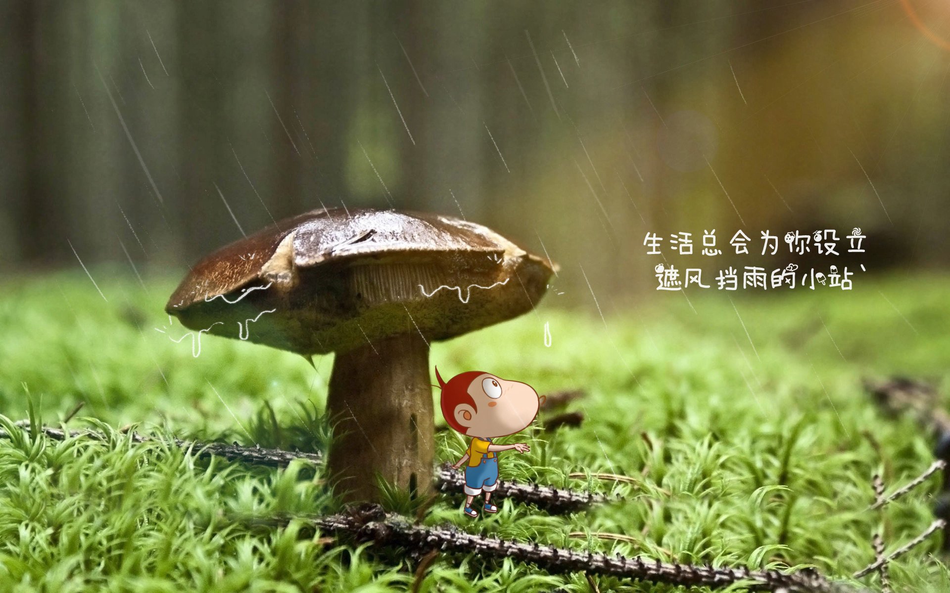 JIUYOU GAMING-球队是否因数据分析优化赛前针对性训练安排，根据数据分析球队水平