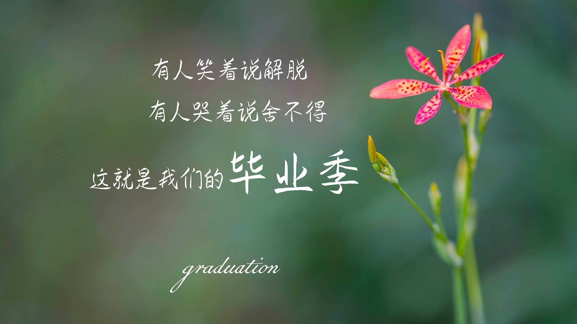 自由泳转身蹬壁动作对比分析，自由泳转身慢动作示范