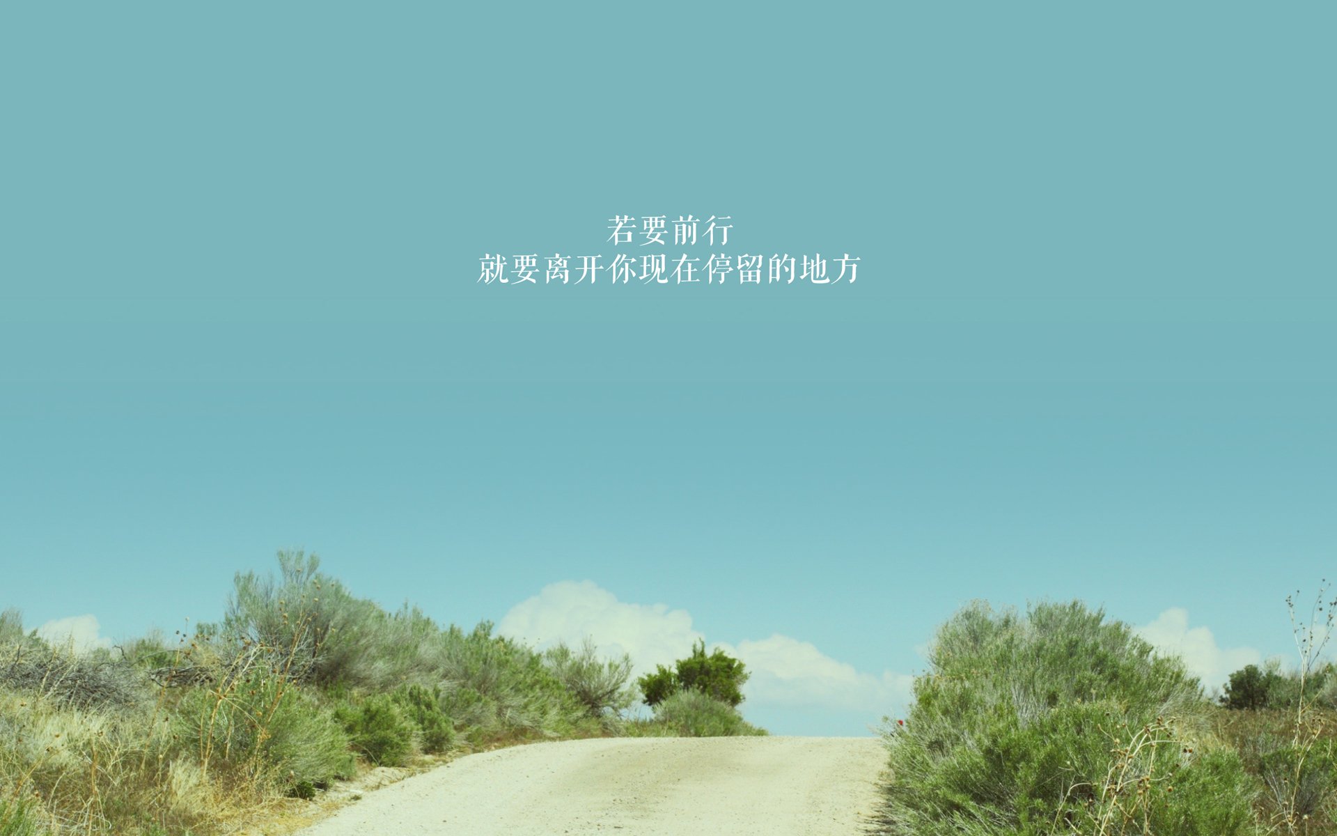 世界杯精彩绝伦:百变战术引爆全场,世界杯惊天逆转