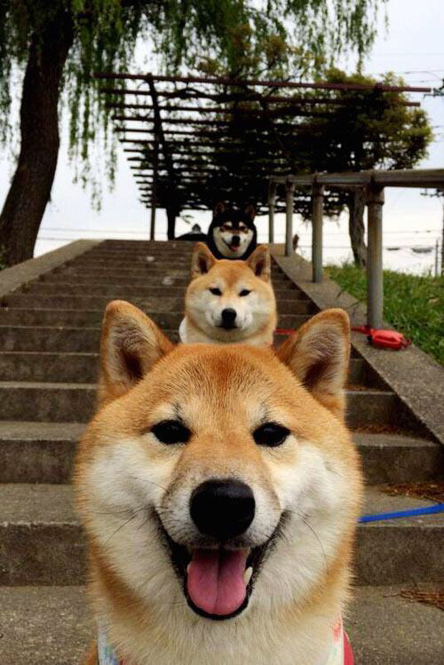 仰泳新秀朝鲜表现超预期,仰泳示范视频