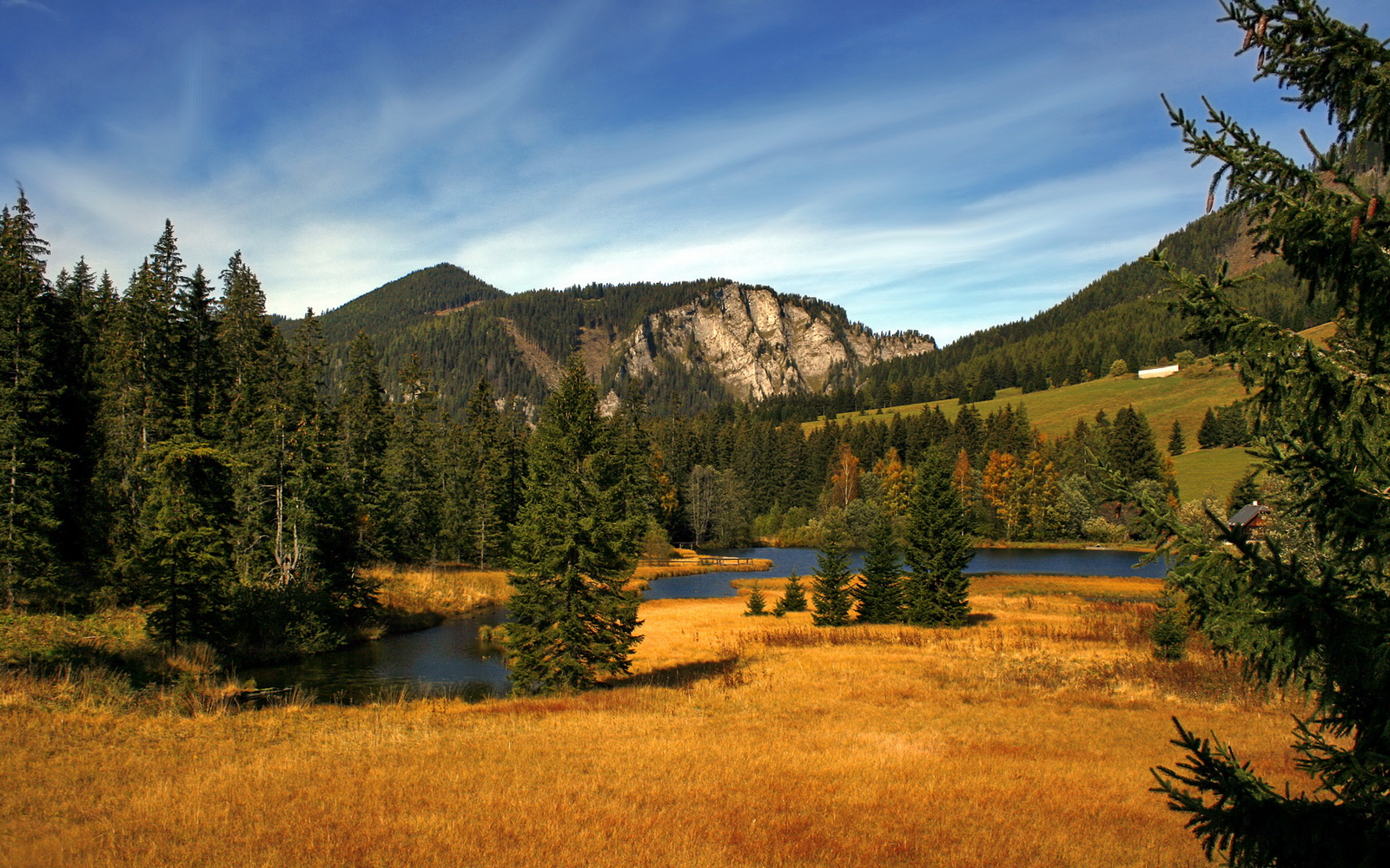 体育新闻中心公布国际裁判中文翻译术语标准更新,国际裁判英文