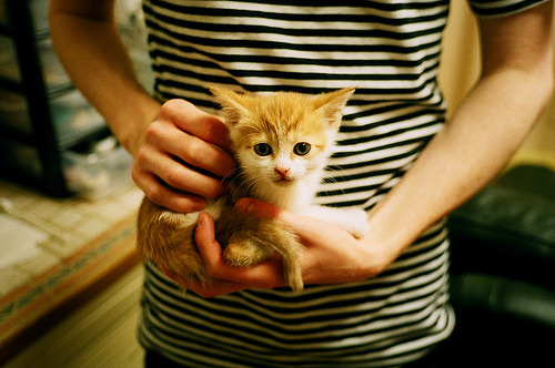 全国青少年三对三篮球挑战赛总决赛成功举办,全国青少年三人篮球冠军挑战赛