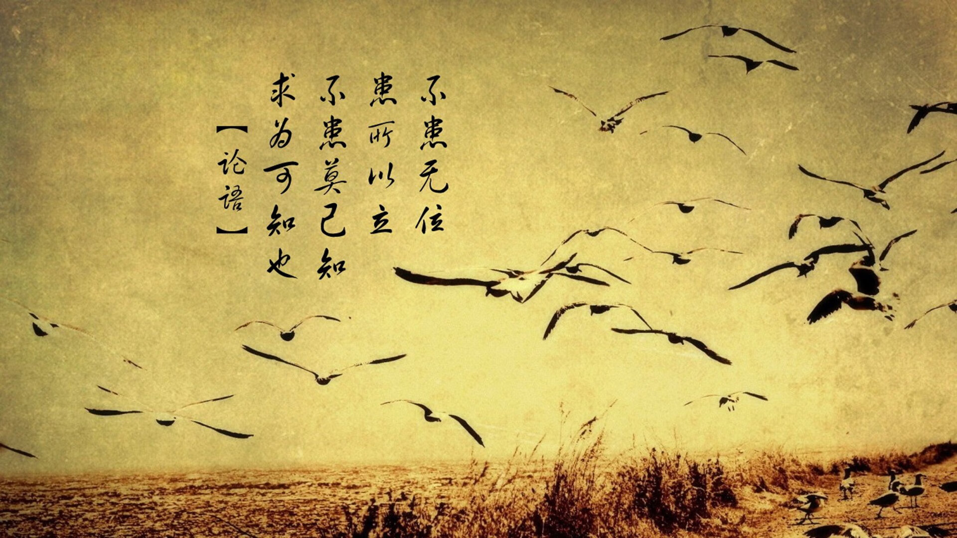 赛事门票一售而空,举办城市迎来球迷潮,买球赛门票的网站哪个好